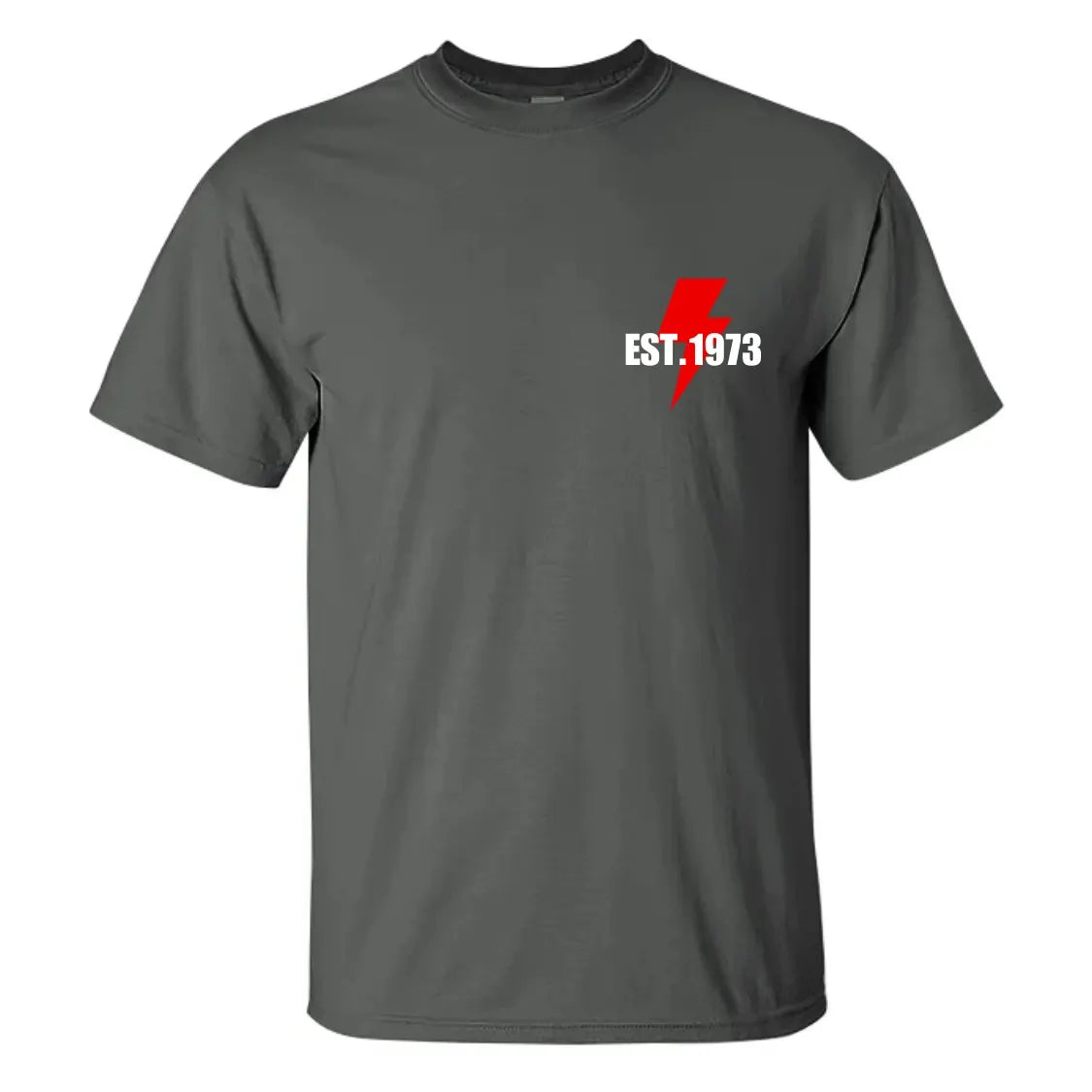 Gen X Raised On Hose Water And Neglect ,Custom EST Bothside Print T-shirt, Sarcastic Sweatshirt, Childhood Memories, Vintage Inspired Shirt, Funny Quotes